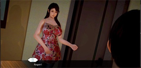二次元老婆[图3]