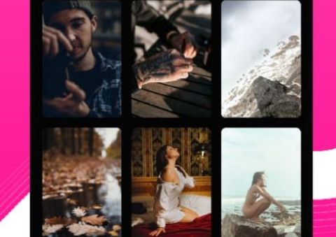 小鸟主题壁纸[图1]