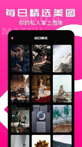 小鸟主题壁纸图1