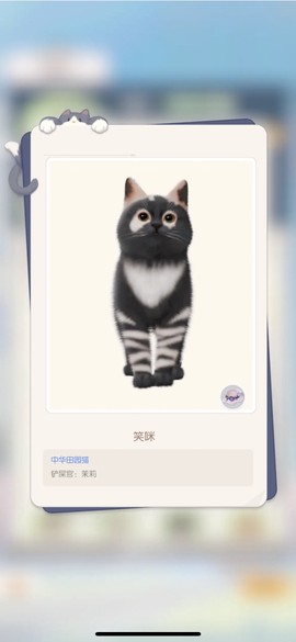 超喵星计划图3