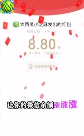 小芝麻大西瓜图2