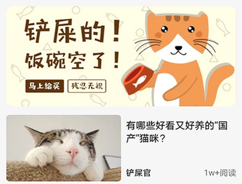 遇见我的猫[图1]
