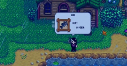 星露谷物语英图2