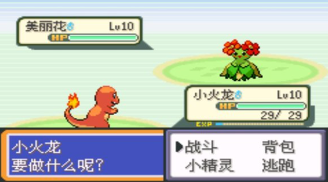 口袋妖怪永恒之焱[图4]