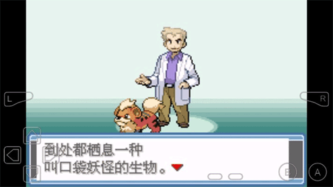 口袋妖怪永恒之焱图1