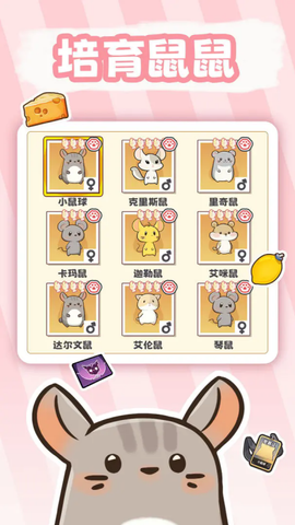 社会我猫哥图2