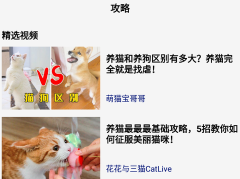 我的猫咪[图1]