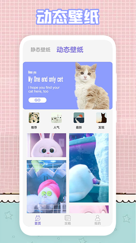 我的猫咪图2