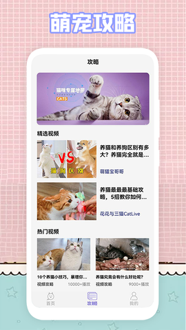 我的猫咪图3