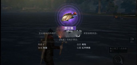 黎明觉醒手游[图9]
