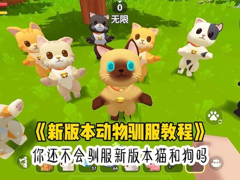 迷你世界什么可以驯服[图2]