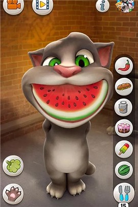 会说话的汤姆猫[图1]