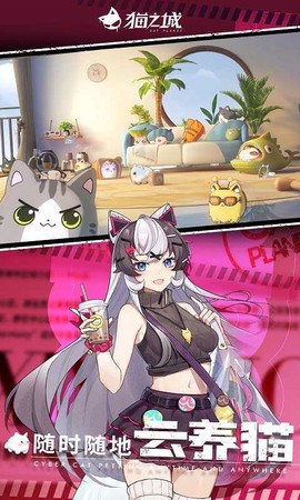 猫之城中文版图2