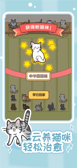 解压猫咪图3
