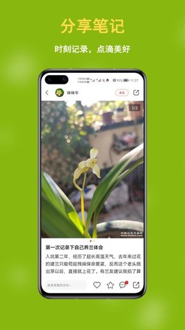 兰花交易网图1