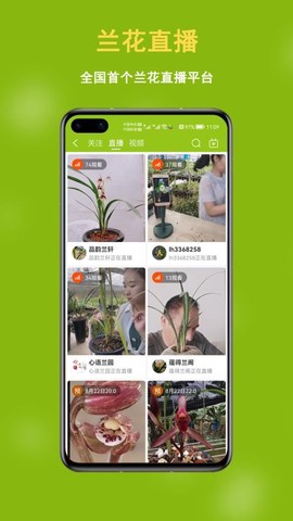 兰花交易网图3