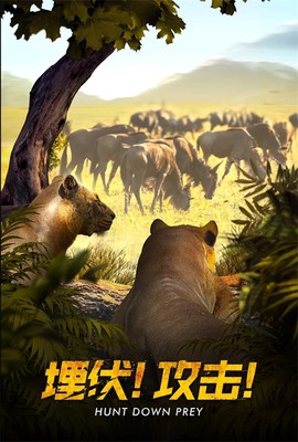 野兽领主新世界国际服图1