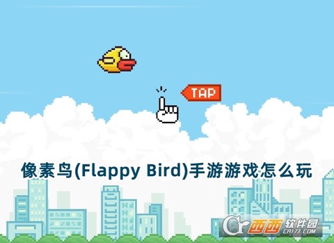 像素鸟[图1]