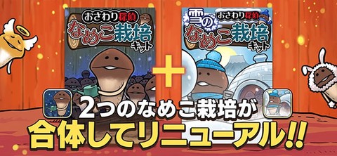 原始菇菇栽培实验室官方版图3