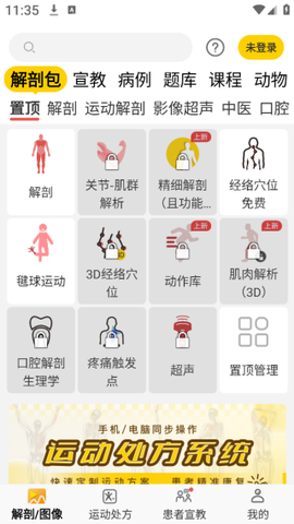 3dbody解剖图2