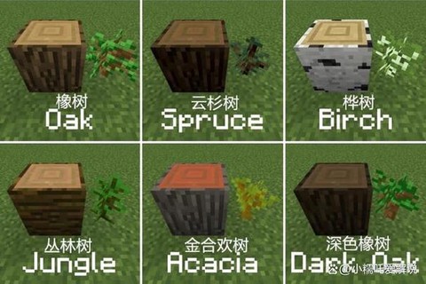 我的世界丛林木怎么种