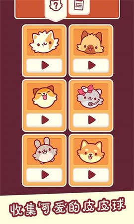我是猫老大图3