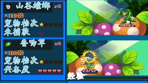 宠物王国破解版图2