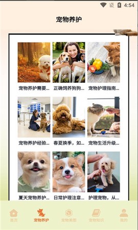 宠物小组件盒子[图1]