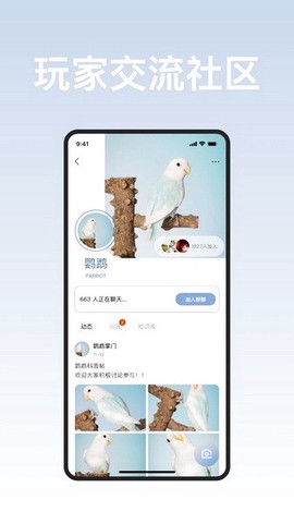 集宠区图2