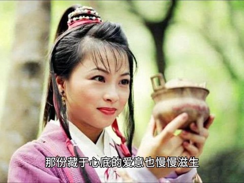 金庸群侠传阿紫怎么收