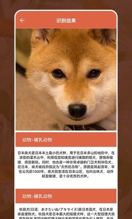 动植物识别大全图1