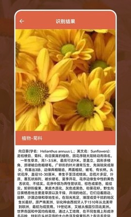 动植物识别大全图2