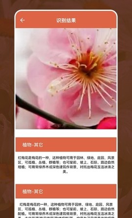 动植物识别大全图3