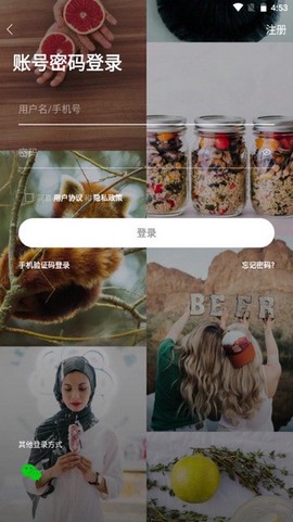 掌上洛南图1