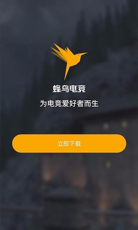 蜂鸟电竞图1