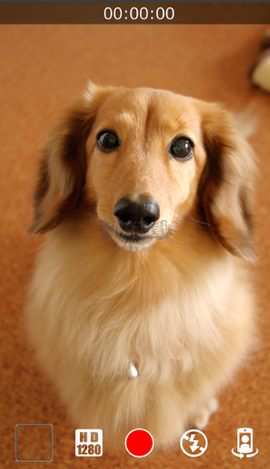 静音摄影机[图2]