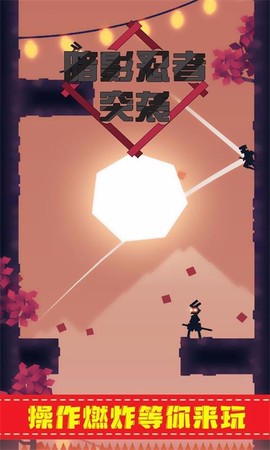 暗影忍者突袭图3