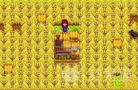 星露谷物语干草怎么获得[图1]