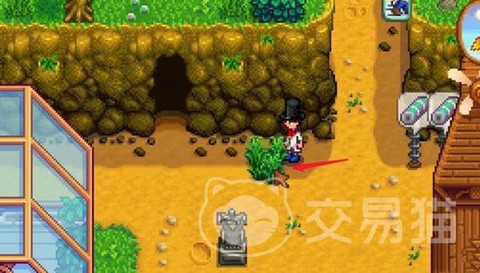 星露谷物语干草怎么获得[图2]