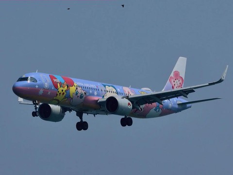 神奇宝贝飞机叫什么[图1]