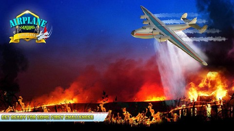 美国飞机大亨图3