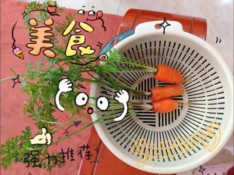 迷你世界胡萝卜怎么种[图1]