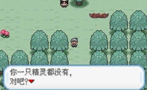 口袋妖怪：无名图1