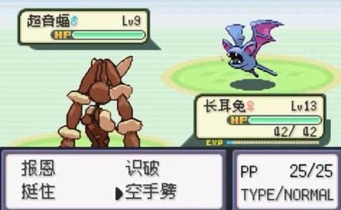 口袋妖怪：无名图2