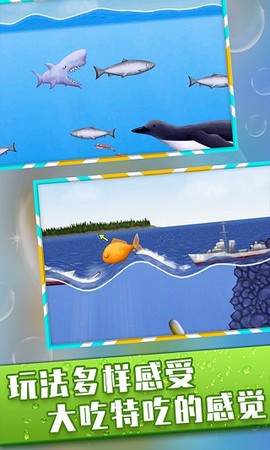 美味星球鲨鱼版图1