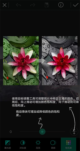 相片大师[图3]