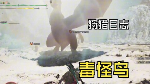 怪物猎人2g怪鸟怎么打