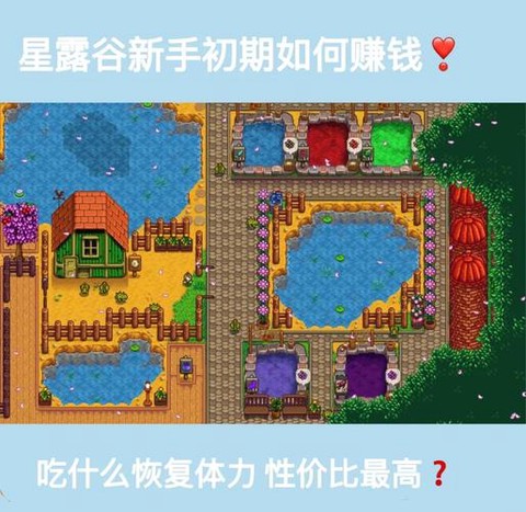 星露谷物语怎么加钱