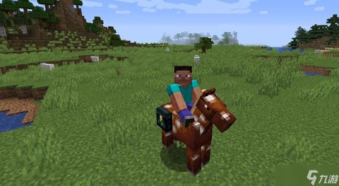 我的世界怎么让马能飞[图2]