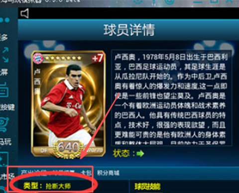 绿茵之巅[图1]